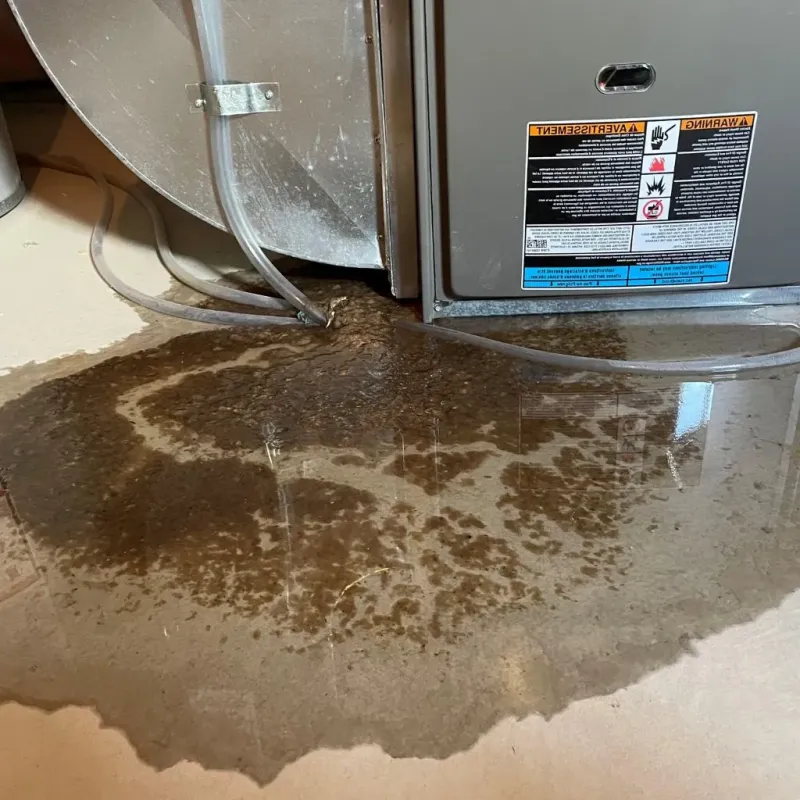 Pipe Burst and Leak Restoration in Derry Village, NH